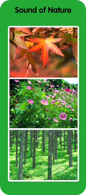 sound of nature
